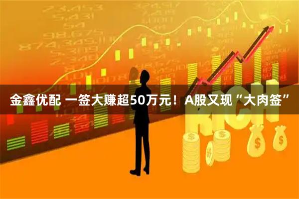 金鑫优配 一签大赚超50万元！A股又现“大肉签”